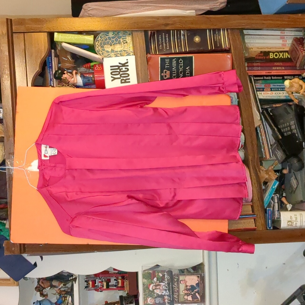 💲 Pink Silk Blouse
